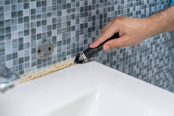 Reliable Vadnais Heights, MN Mold Remediation Solutions