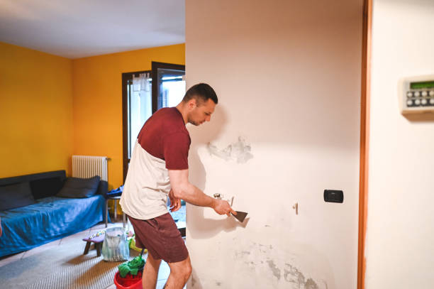 Best Insurance-Related Mold Remediation in Vadnais Heights, MN
